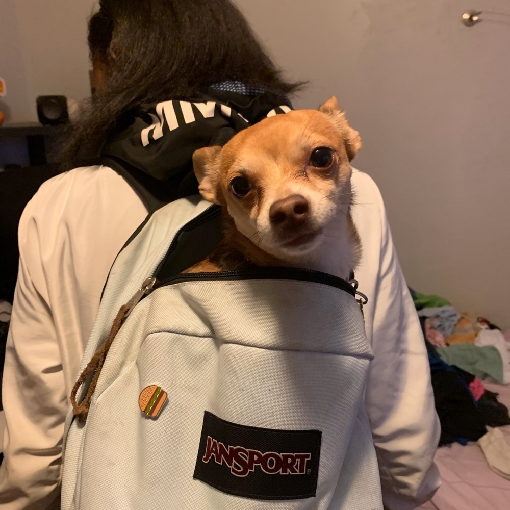 Meet your Posher, Linda